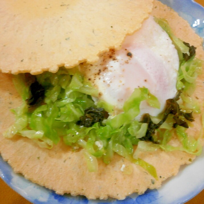 キャベツと高菜漬けのたません